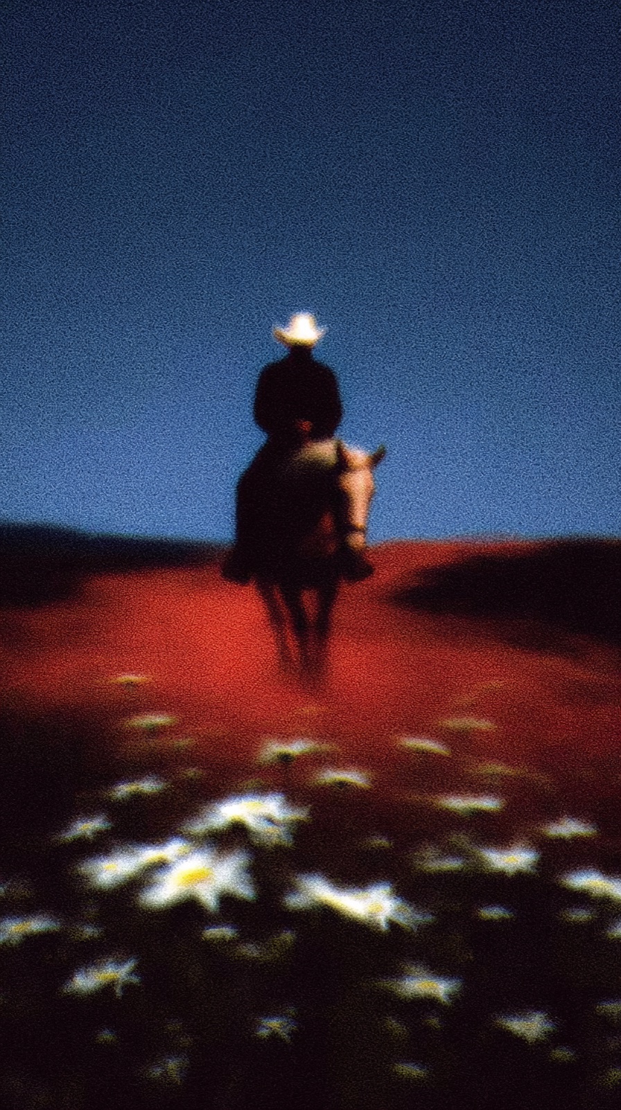 A rider on horseback crosses a red field at dusk, white daisies in the foreground